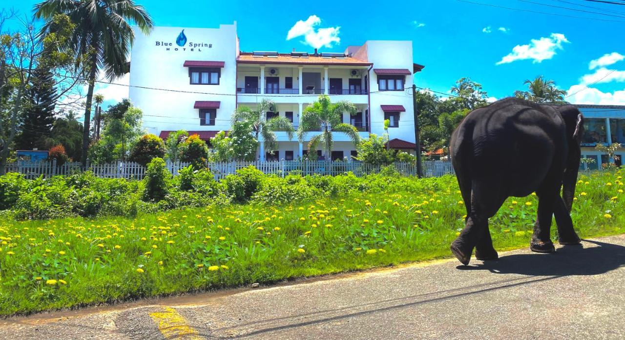 واديوفا Blue Spring Hotel المظهر الخارجي الصورة