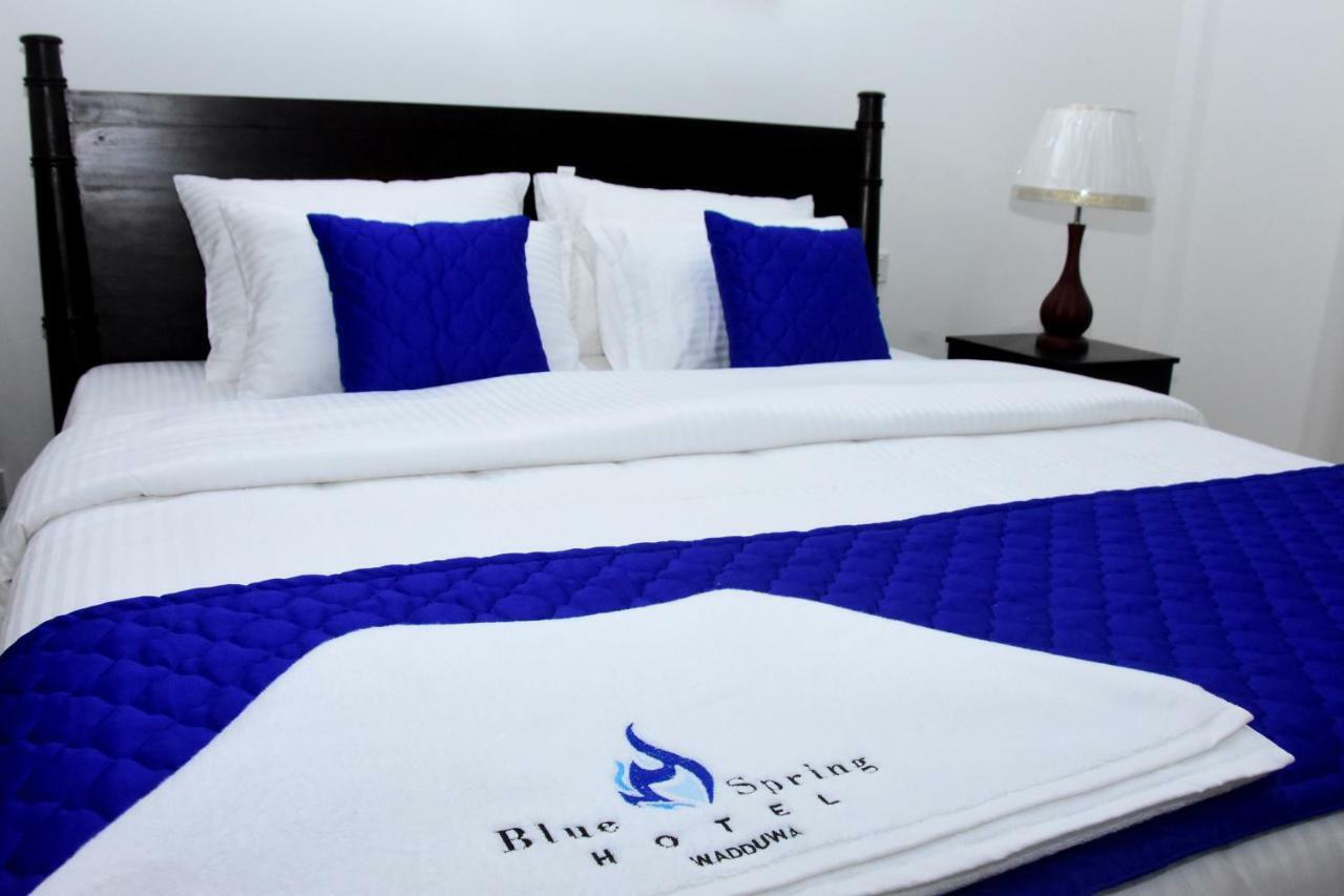 واديوفا Blue Spring Hotel المظهر الخارجي الصورة